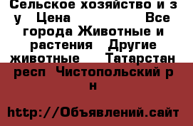 Сельское хозяйство и з/у › Цена ­ 2 500 000 - Все города Животные и растения » Другие животные   . Татарстан респ.,Чистопольский р-н
